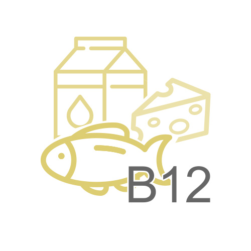 Vitamin B12