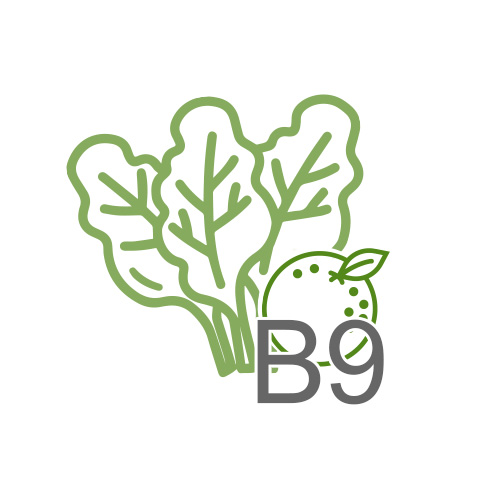 Vitamin B9, Folate, Folic Acid