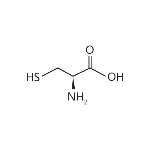 Cysteine (HCI)