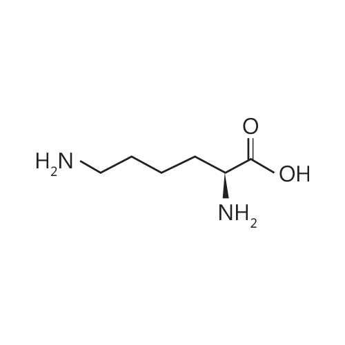 Lysine