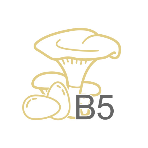 Vitamin B5