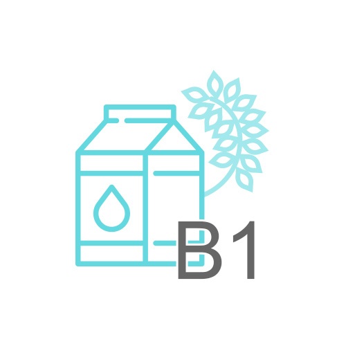 Vitamin B1